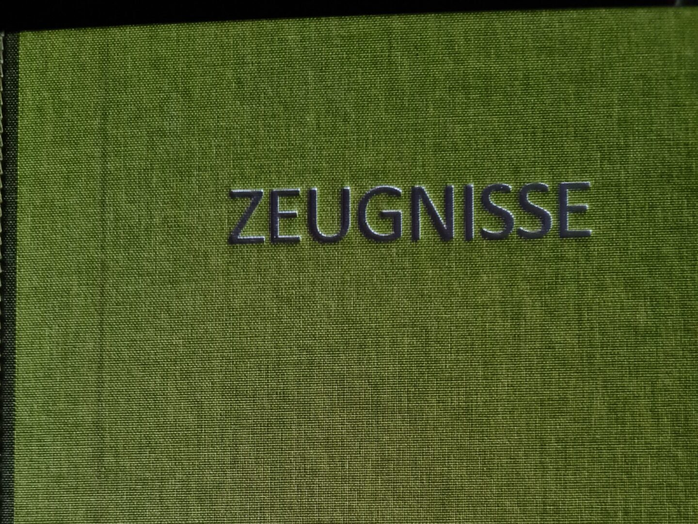 Grüner Hintergrund mit dem Wort "ZEUGNISSE" in großen, grauen Buchstaben in der Mitte.